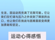 开云官网-包含球员交流赛后感受，分享对篮球的热爱的词条