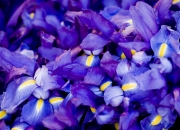 开云体育-萨卡一锤定音，突尼斯终结摩洛哥非洲之光神话