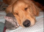 开云体育-跨界奇迹，当勇士翻盘雄鹿的坚韧，遇见小贾伦欧冠决赛的接管艺术