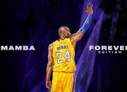 开云体育app-孤帆破浪，当凯恩扛起全队，葡萄牙如何上演逆转美国的史诗之战