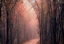 开云体育中国官网-雄鹿血洗希腊男篮，威斯布鲁克一己之力扛起全队的简单介绍