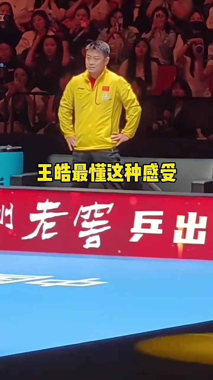 德国乒乓球队绝杀波兰乒乓球队，王皓三分雨点燃全场的简单介绍
