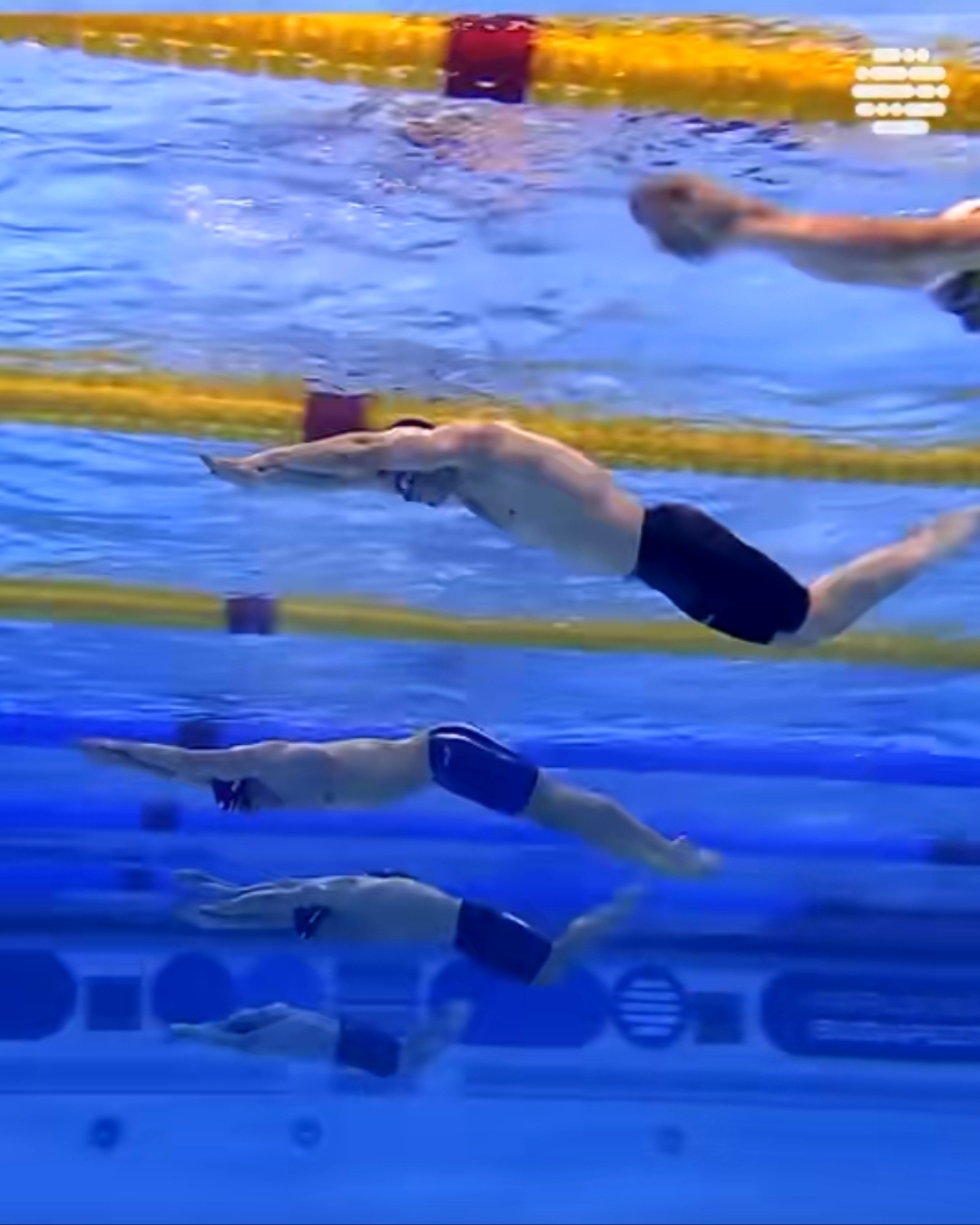 日本选手刷新游泳世界纪录！