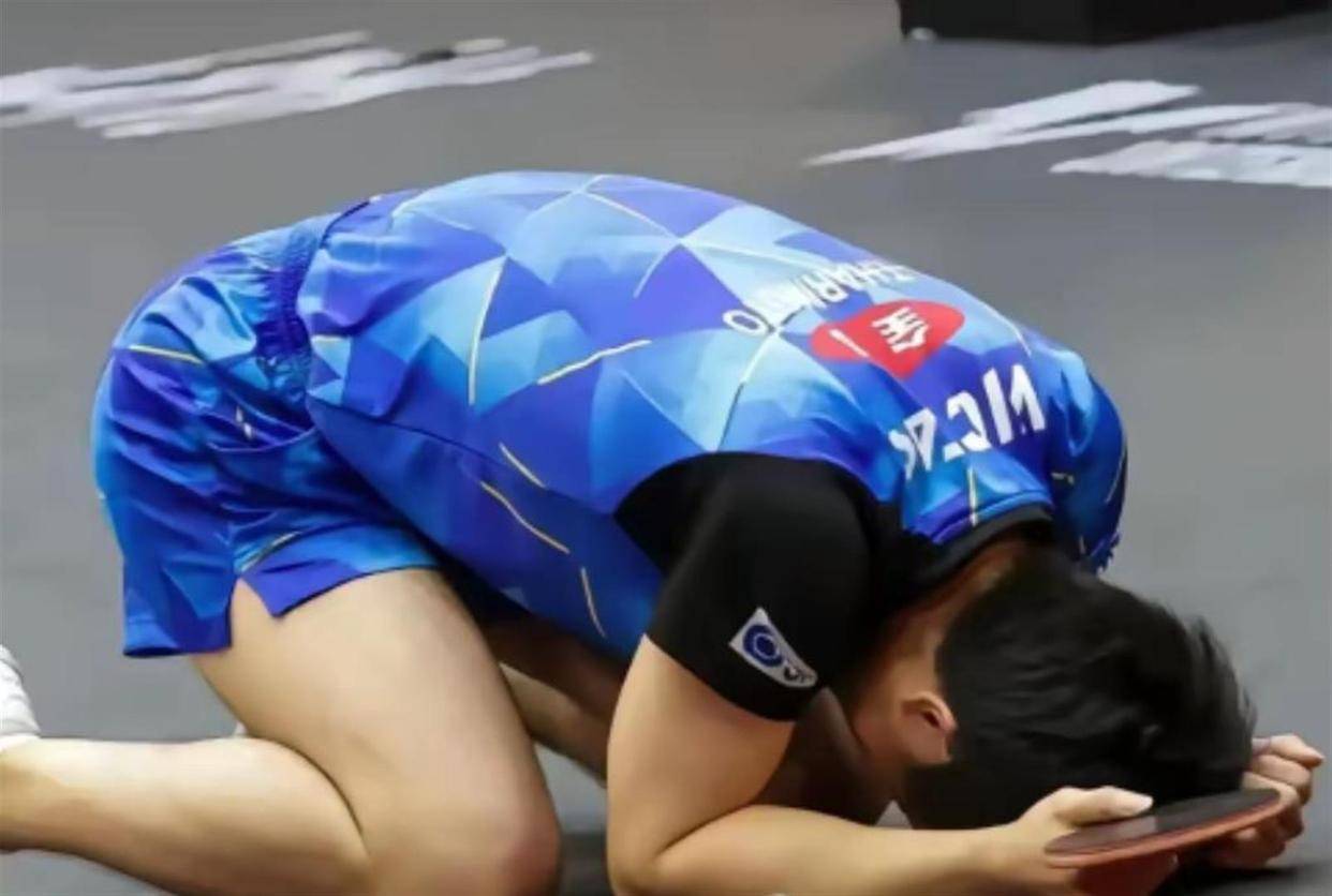 德国乒乓球队完胜中国乒乓球队，水谷隼爆发神勇的简单介绍