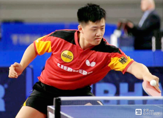 关于韩国乒乓球队横扫奥地利乒乓球队，波尔制霸全场的信息